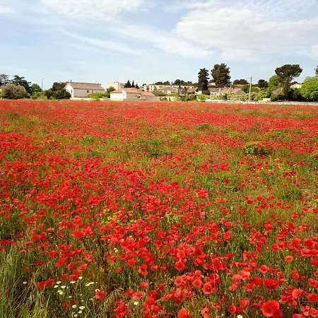 Cosy Privatunterkunft Nîmes