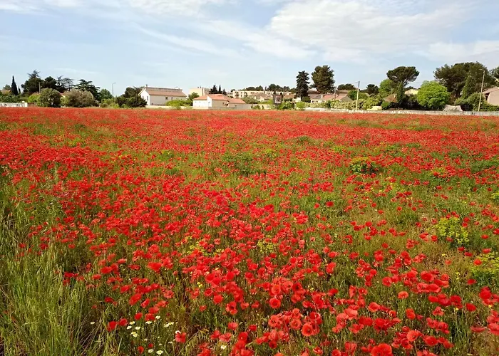 Cosy Séjour chez l'habitant Nîmes